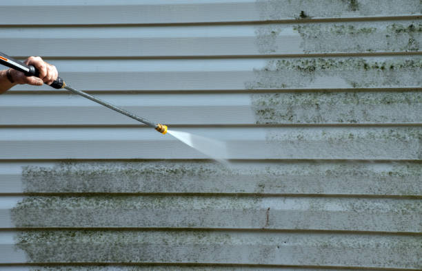 Best Mold Remediation for Specific Building Types in Yorktown, TX